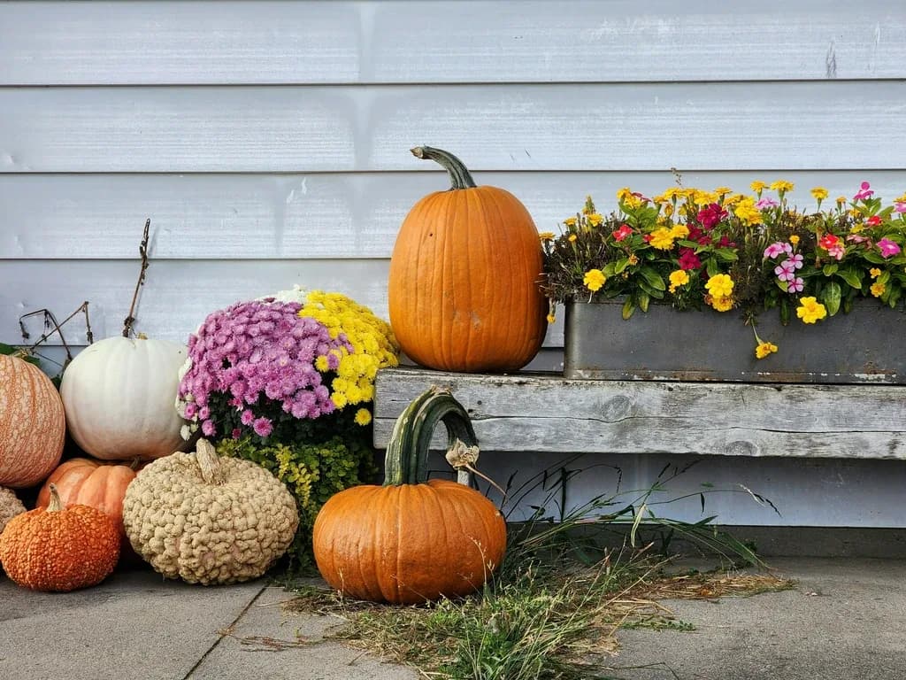 PUMPKINS